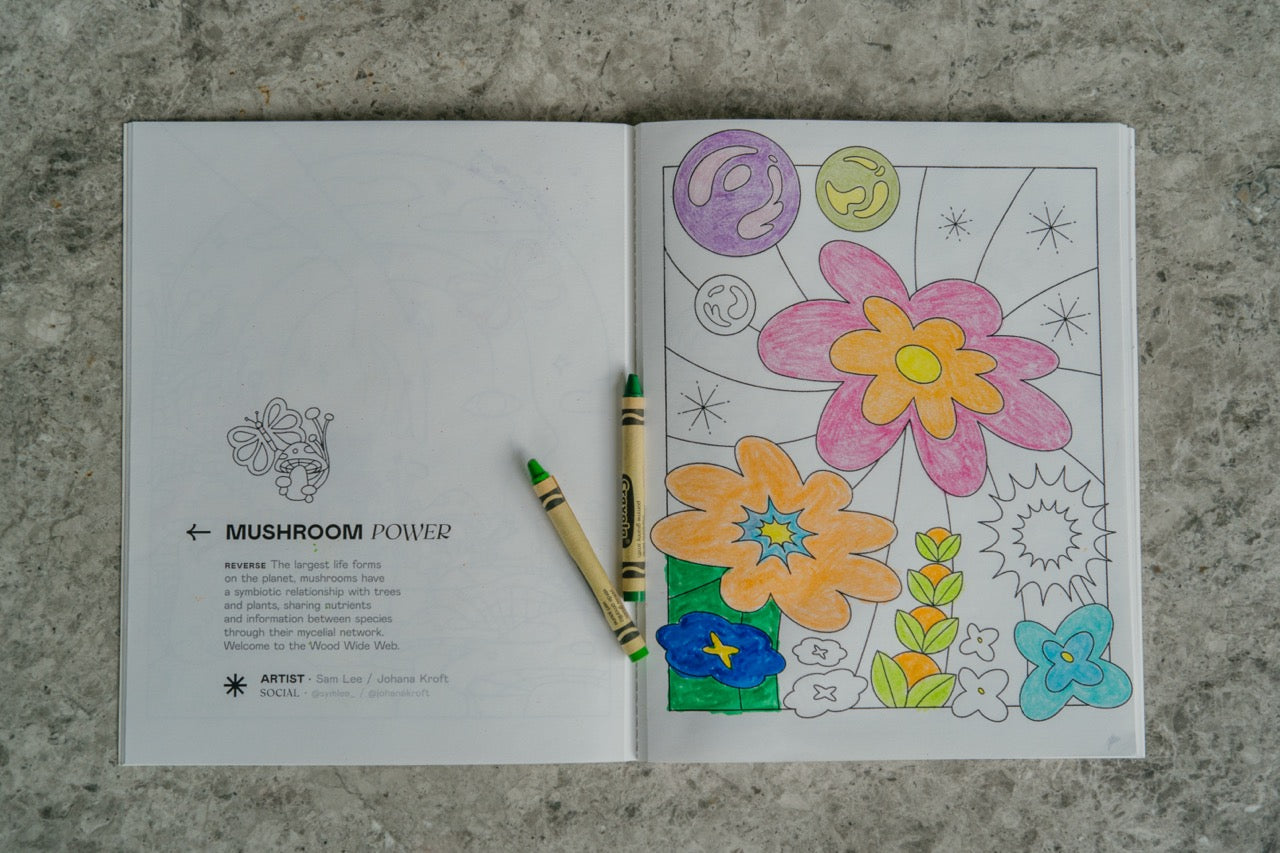 HOW ON EARTH - A Future of a Different Color - Activity Book